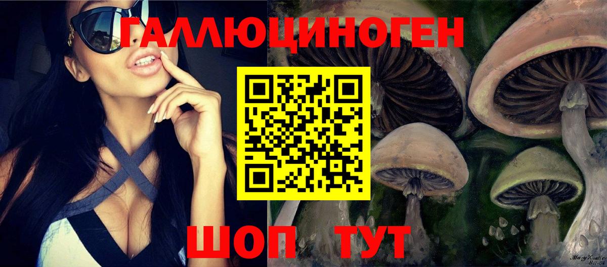 Псилоцибиновые грибы ЛСД  Вход с VPN  цена   Сердобск 